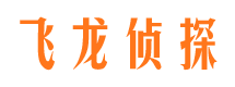 泸溪市侦探调查公司